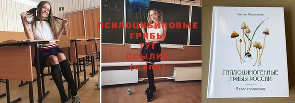 гидра Володарск