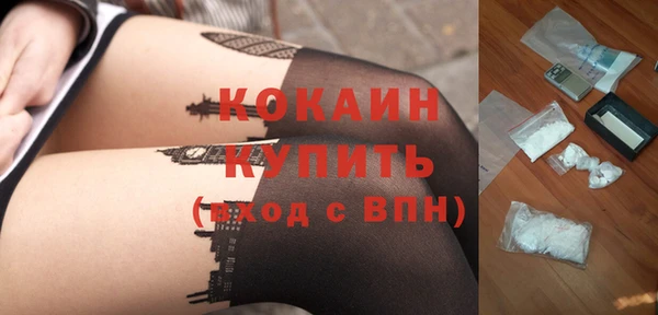 индика Верея