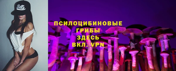 шишки Волоколамск