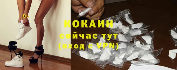 индика Верея