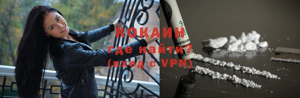 индика Верея