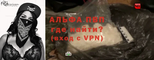 индика Верея