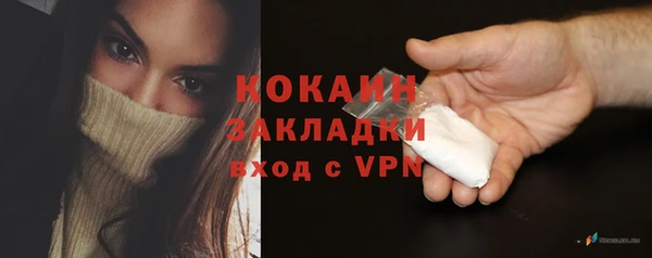 гидра Володарск