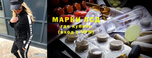 индика Верея