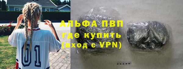 индика Верея