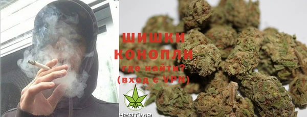 индика Верея