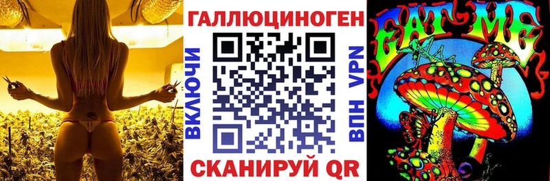 Купить закладки  Нарткала  Псилоцибиновые грибы Psilocybe 